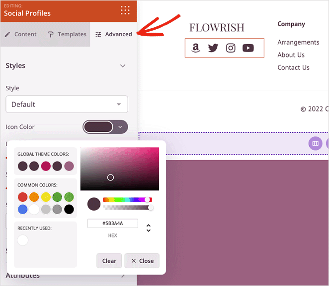 advanced-color-settings - SeedProd Advanced social profiles color settings